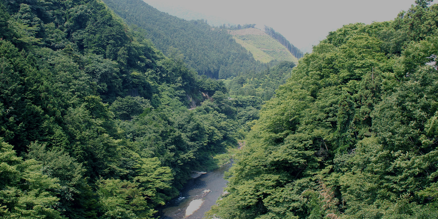 端末サンプルイメージ
